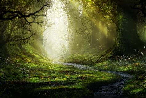 Mehofond Enchanted Forest Backdrop Wonderland Jungle Fairy Tale