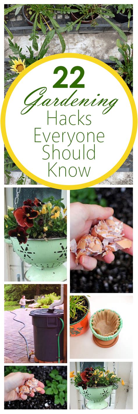 22 Gardening Hacks Everyone Should Know ~ Bees And Roses