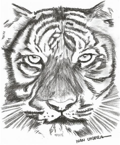 Introducir Imagen Dibujos A Lapiz De Tigres Faciles
