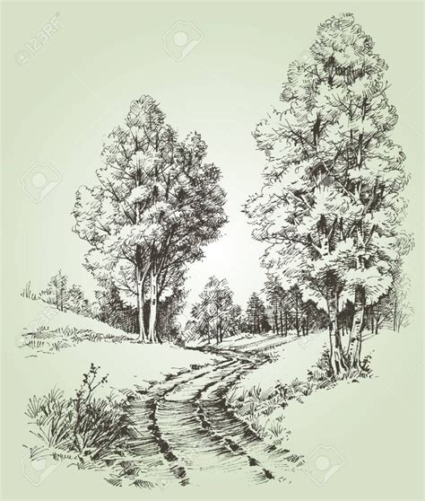 A Path In The Forest Stock Vector 55852552 Landscape Sketch