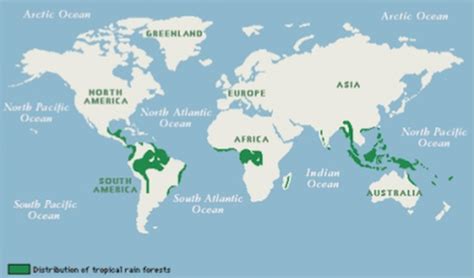 Global Distribution Tropical Dry Forest