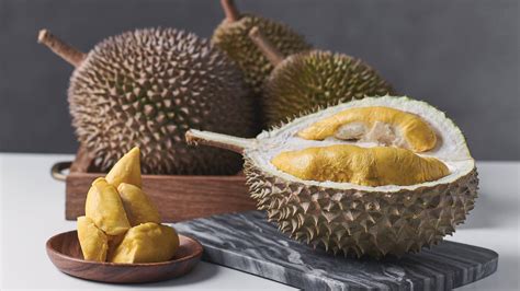 Information about musang king durian including applications, nutritional value, taste, seasons, availability, storage, restaurants, cooking musang king durians are medium to large fruits, averaging 2 to 4 kilograms, and generally have an oval to slightly lopsided shape with a long stem. What is the Musang King Durian