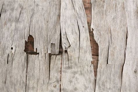 Old Broken Wood Plank Texture Stock Photo Image Of Textured Board