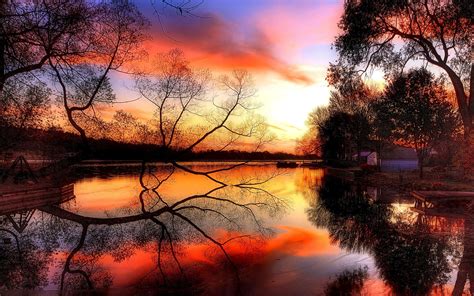 Free Photo Autumn Pond Reflections Abstract Quiet Serenity Free