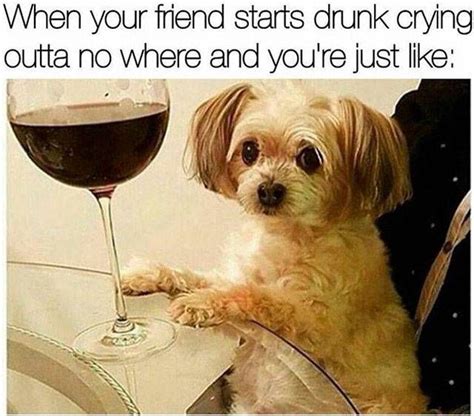 28 Funniest Memes That Will Make You Cry Funny Memes Make You Cry Memes