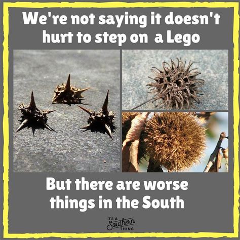 ?? southern thing #ouch | Southern humor, Southern sayings, Southern jokes