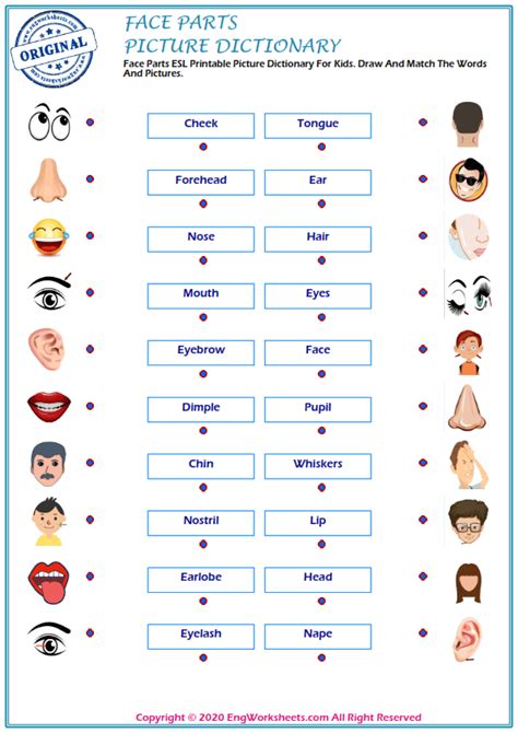 Face Parts Esl Printable Picture Dictionary Worksheet For Kids Image