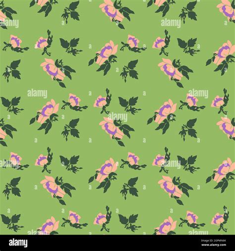 Drawing Bloom Pink Flowers Roses Floral Seamless Pattern Print Nature