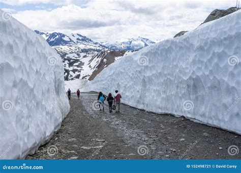 Snow Wall On Whistler Mountain In The Summer Editorial Photo Image Of