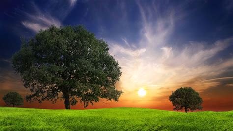 Awesome Nature Backgrounds 63 Images