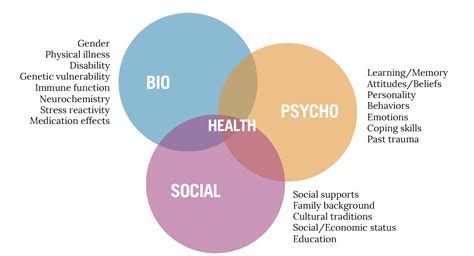 The Biopsychosocial Model A Framework For Patient Centric Healthcare Marketing LIFT Healthcare