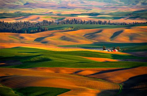 Palouse Photo By Rjaphotography Steptoe Inhabit Places To See