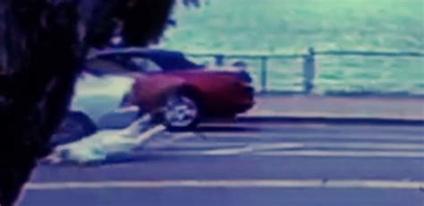 California Woman Dragged By Robbers Car As She Tries To Retrieve