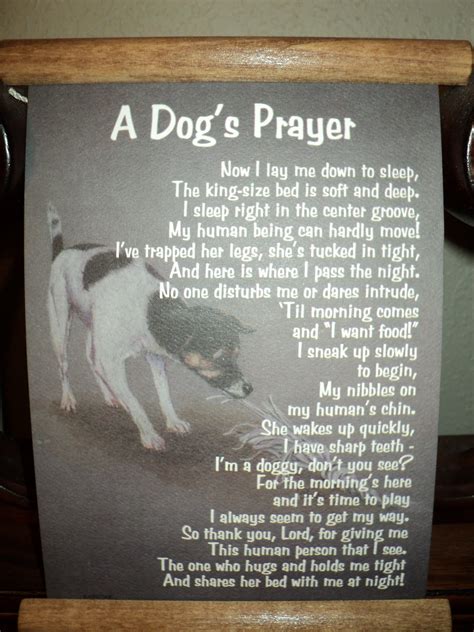 Rescue Dog Poems And Quotes Quotesgram