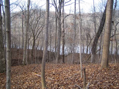 Woods In The Winter West Virginia Usage Request Informati Flickr