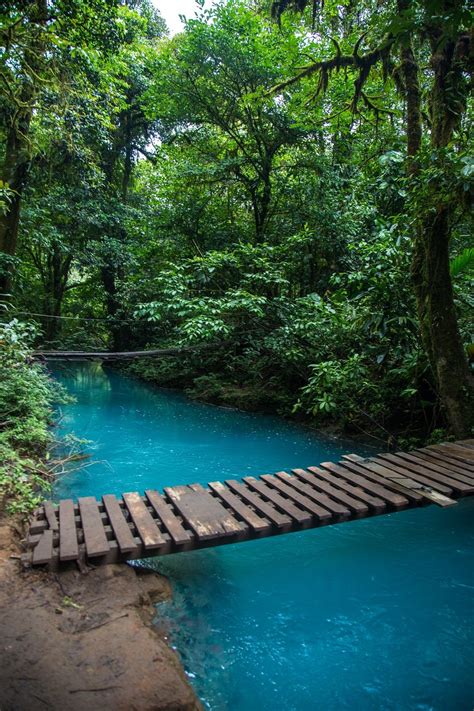 How To Have The Perfect Visit To Rio Celeste Costa Rica Rio Celeste