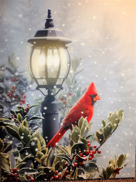Christmas Cardinal With Holly Christmas Art Christmas Paintings