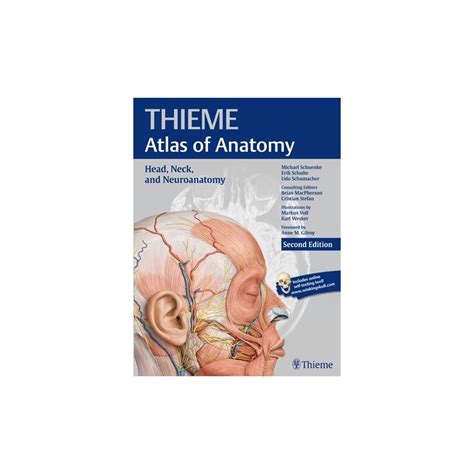 Prometheus 2nd Edition Voliii Thieme Atlas Of Anatomy Head Neck