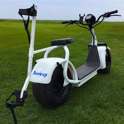 2018 Fashion Design Electric Golf Scooter Citycoco 1000w 60v Mobility