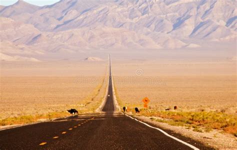 Extraterrestrial Highway Nevada Stock Image Image Of Growth Lines