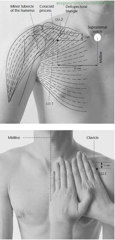 Meridian Lu1 Kung Fu Acupuncture Benefits Acupuncture Points Acupressure Points Massage Tips