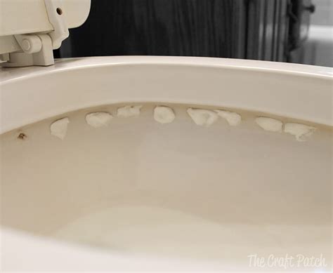 How To Clean The Holes In The Rim Of Your Toilet Bowl
