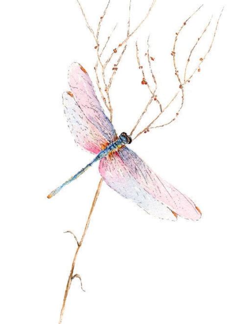 Dragonfly Watercolor Painting Print From Original Watercolor Etsy Uk