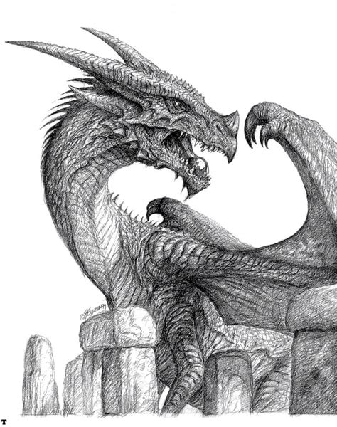Disegno Drago Realistic Dragon Dragon Art Dragon Drawing
