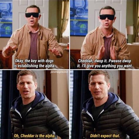 In an attempt to get information on a criminal operation, amy has to go undercover at a women's prison and befriend one of brooklyn 99 memes on instagram: 15 Funny Memes From 'Brooklyn Nine-Nine' | Know Your Meme ...