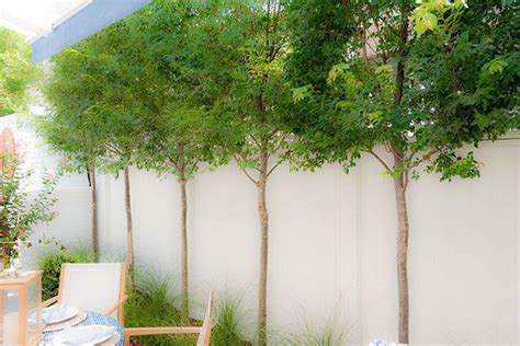 31 Great Tips And Ideas To Create Backyard Privacy Landscaping 28