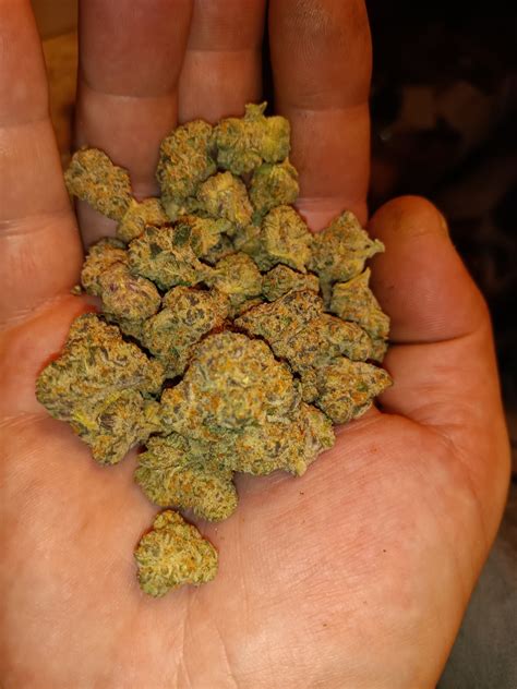 Sugar Cake Marijuana Strain Information & Reviews | AllBud