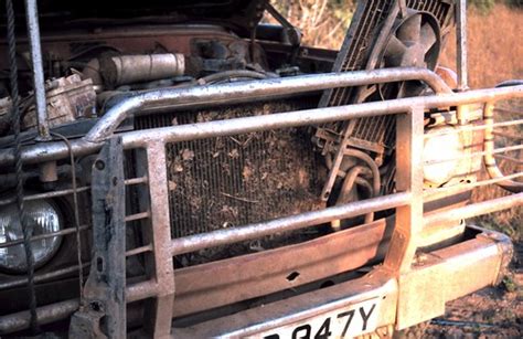 Choosing the right grass seed can be difficult. Grass Seed Netting
