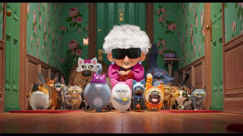 The secret life of pets 2. The Secret Life of Pets 2 4K UHD Review - DoBlu.com