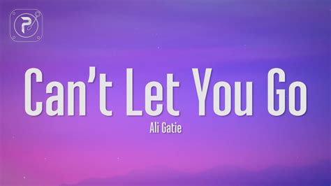 ali gatie can t let you go lyrics youtube