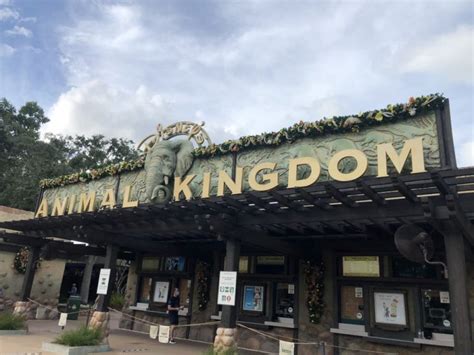 Lets Take A Virtual Tour Of Animal Kingdoms Holiday Decorations