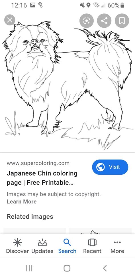 Pin By Alisha Watkins On Animal Drawings Coloring Pages Japanese