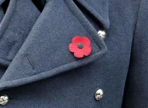 Correct Way To Wear A Poppy For Remembrance Day And What It Really