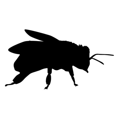 Silhouette Insect Drawing Honey Bee Clip Art Silhouette Png Download