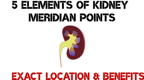 5 Elements Of Kidney Meridian Points I Exact Location And Its Benefits