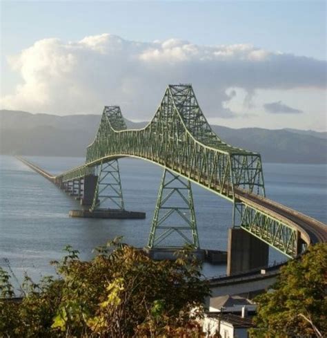 A Large Bridge Spanning Over The Ocean On Top Of A Hill Next To Some Trees