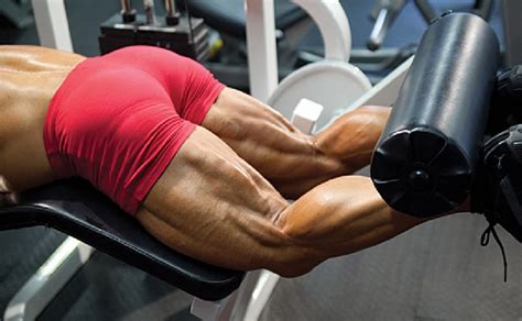 Hamstring Muscles Functional Anatomy Guide Bodybuilding