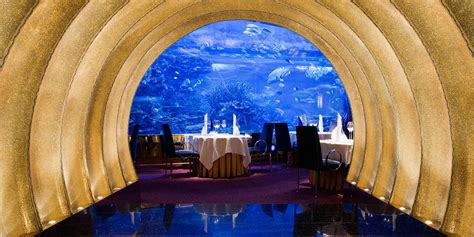 Underwater Dubai Hotel Experiences Youll Want To See Travelogues