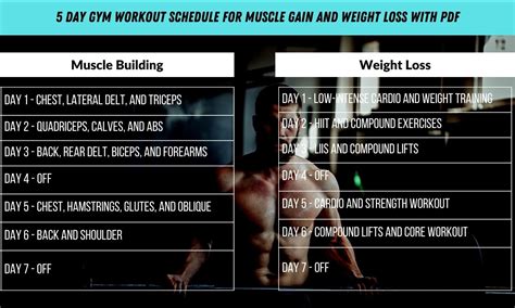 5 Day Gym Workout Schedule For Muscle Gain And Weight Loss W Pdf
