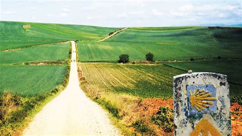 De Camino De Santiago Lopen Pamplona Naar Logroño Happy Hikers