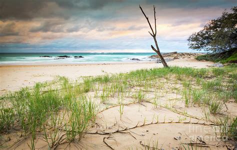 Australia Beach Sunrise Photograph By Thp Creative Pixels