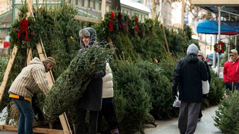 Check spelling or type a new query. Christmas Tree Shortage Is Driving Up Prices | realtor.com®