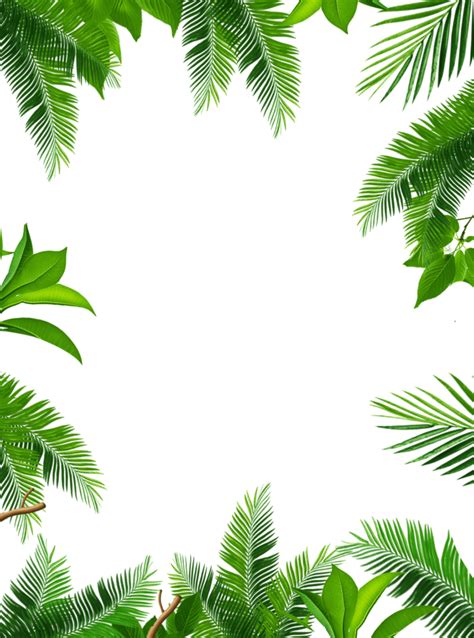 Tropical Leaves Frame Png Image Free Download
