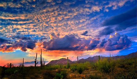 Tucson Sunset Spectacular Sunset Over The Desert In Tucson Tucson