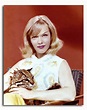 (SS2317237) Movie picture of Anne Francis buy celebrity photos and ...