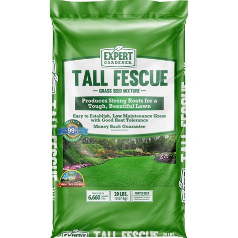 Best Tall Fescue Grass Seed For Southern California